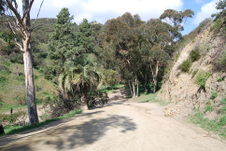 Enlarge photo 37