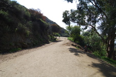 Enlarge photo 38