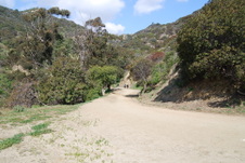 Enlarge photo 39