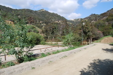Enlarge photo 40