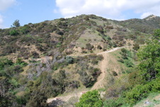 Enlarge photo 41