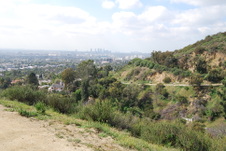 Enlarge photo 47