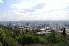 Enlarge photo 51