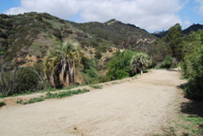 Enlarge photo 53