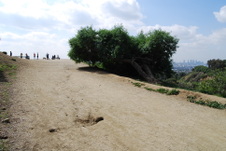 Enlarge photo 54