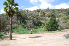 Enlarge photo 10