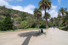 Enlarge photo 9