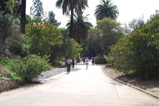 Runyon Canyon