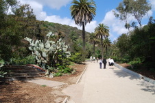 Enlarge photo 7