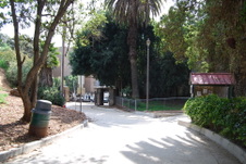 Enlarge photo 5