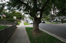 Enlarge photo 72