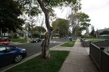 Enlarge photo 73