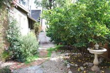 Enlarge photo 53
