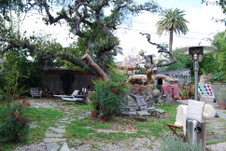 Enlarge photo 54