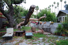 Enlarge photo 56