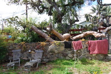 Enlarge photo 58