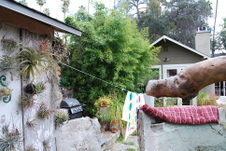 Enlarge photo 61
