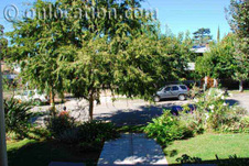 Enlarge photo 4