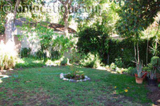 Enlarge photo 33