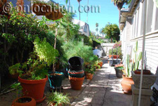 Enlarge photo 35
