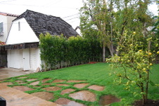 Enlarge photo 42