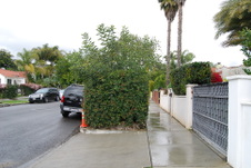 Enlarge photo 3