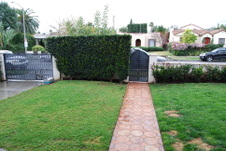 Enlarge photo 6
