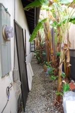 Enlarge photo 36