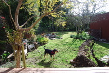 Enlarge photo 45