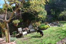 Enlarge photo 47