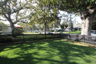 Enlarge photo 40