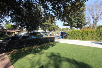 Enlarge photo 41