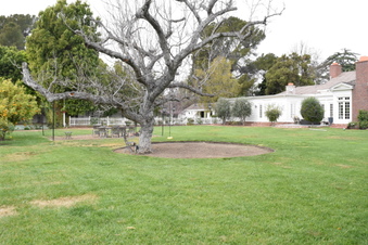 Enlarge photo 10