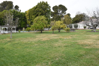 Enlarge photo 12