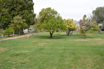Enlarge photo 16