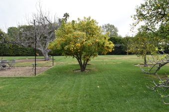 Enlarge photo 22