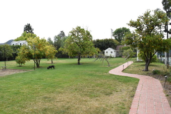 Enlarge photo 29