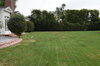 Enlarge photo 32