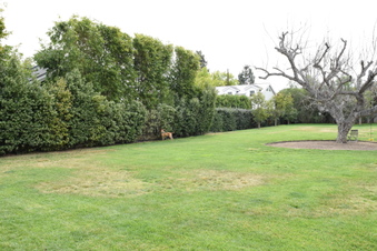 Enlarge photo 40