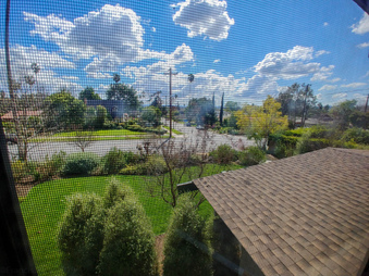 Enlarge photo 199