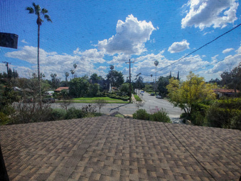 Enlarge photo 215