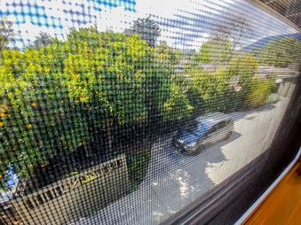 Enlarge photo 225