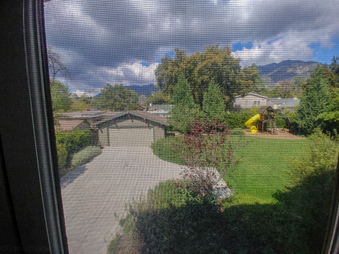 Enlarge photo 238