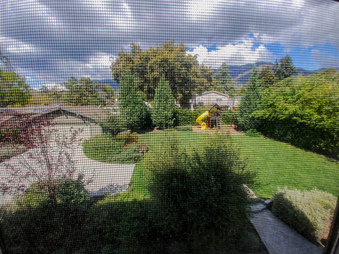 Enlarge photo 253