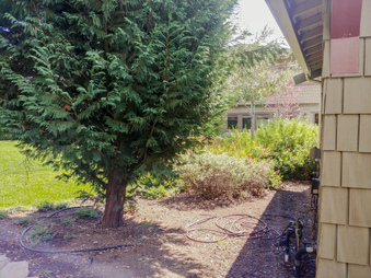 Enlarge photo 28