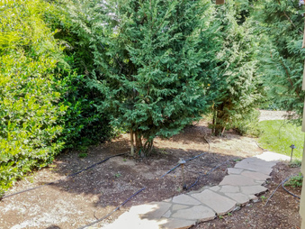 Enlarge photo 30