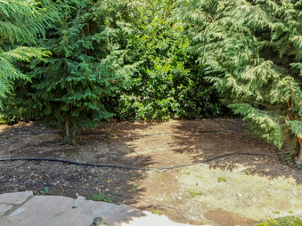 Enlarge photo 31
