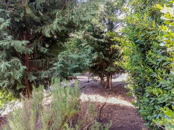 Enlarge photo 34
