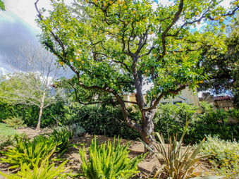 Enlarge photo 57