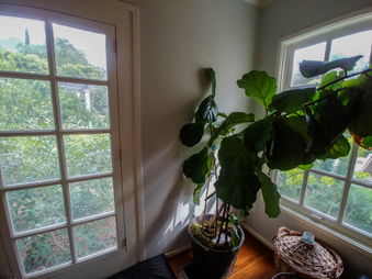 Enlarge photo 169